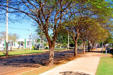Avenida central