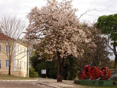 Campus histórico 