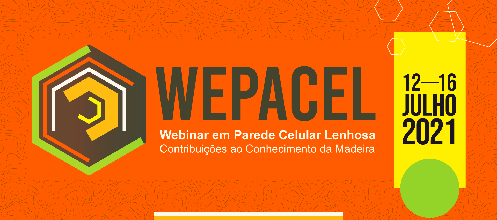Webinar em Parede Celular Lenhosa